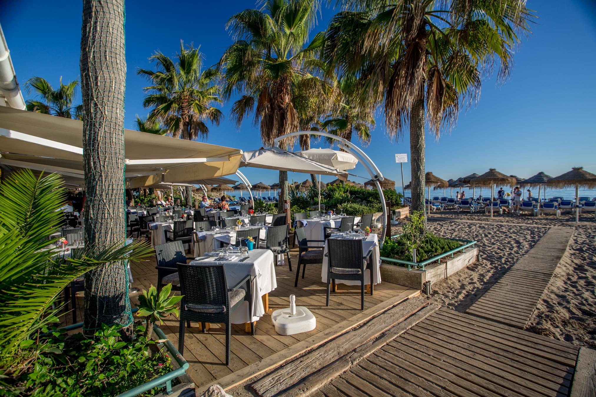 Elviria